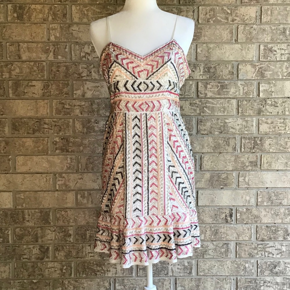 Parker Medium Cosmopolitan Dress